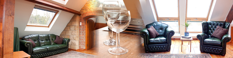 Wine Glasses